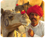 Kerala Honeymoon Packages